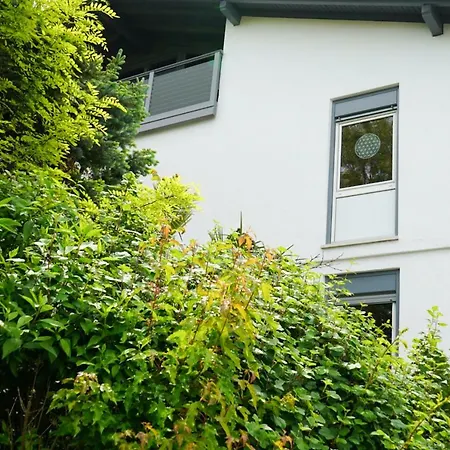 Zeilfelder Hirschberg an der Bergstrasse